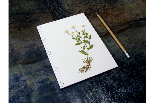 Chamomiles. Botanical Journal by Fabulous Cat Papers