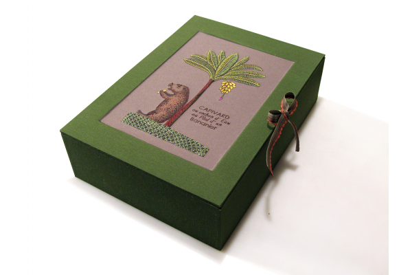 Capivara Box by Fabulous Cat Papers