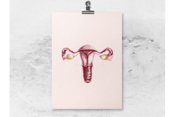 Uterus and Ovaries. Anatomy Art. Paper Embroidery by Fabulous Cat Papers