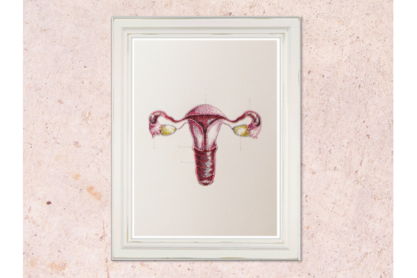 Uterus and Ovaries. Anatomy Art. Paper Embroidery by Fabulous Cat Papers