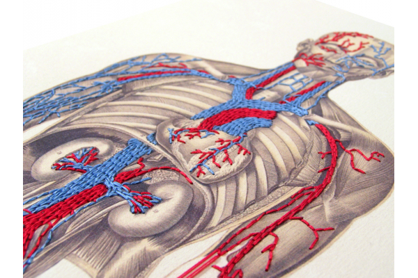 Bleeding by Needles by Fabulous Cat Papers