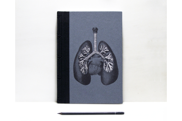 Lungs Anatomy Book by Fabulous Cat Papers
