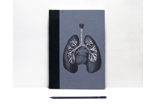 Lungs Anatomy Book by Fabulous Cat Papers