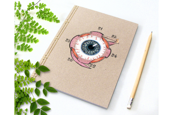 Eye Anatomy Journal by Fabulous Cat Papers