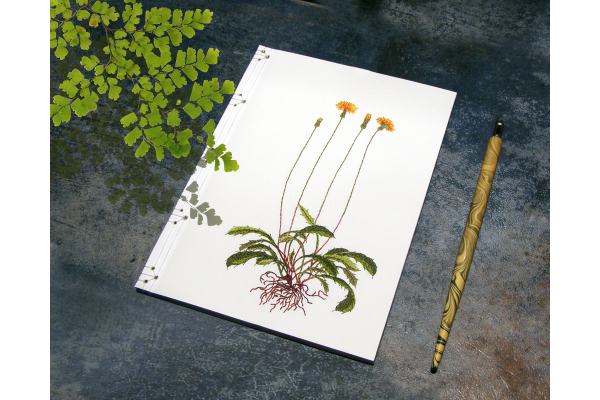 Dandelion Plant. Botanical Journal by Fabulous Cat Papers