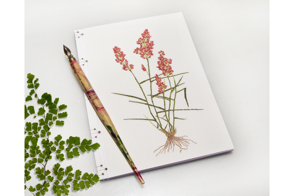 Natal Grass. Botanical Journal by Fabulous Cat Papers
