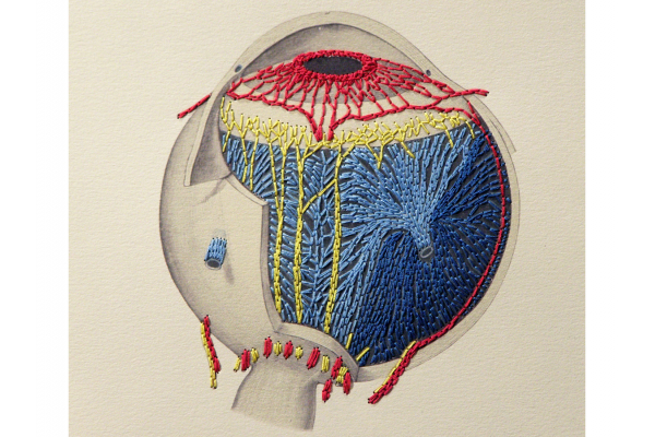 Anatomical Eye. Paper Embroidery by Fabulous Cat Papers