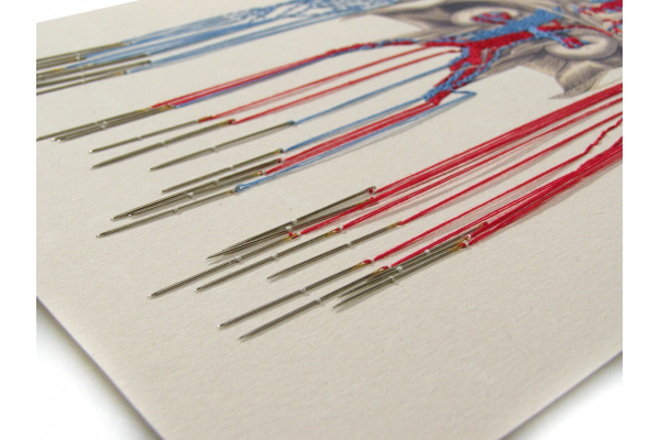 Bleeding by Needles by Fabulous Cat Papers