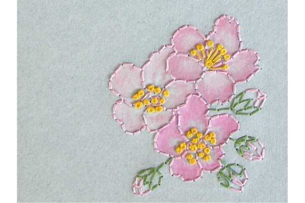 Almond Flowers. Small Floral Notebook by Fabulous Cat Papers