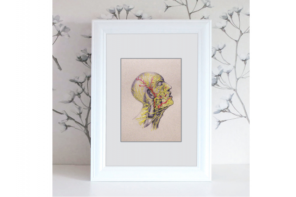 Nervous System of the Head. Paper Embroidery by Fabulous Cat Papers