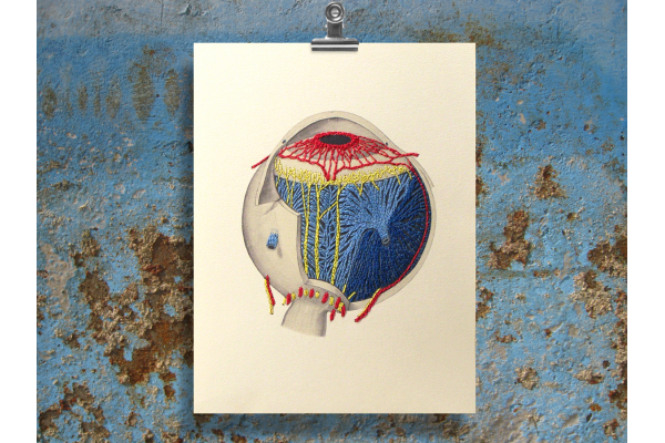 Anatomical Eye. Paper Embroidery by Fabulous Cat Papers