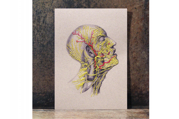 Nervous System of the Head. Paper Embroidery by Fabulous Cat Papers