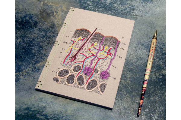 Skin Layers Journal by Fabulous Cat Papers