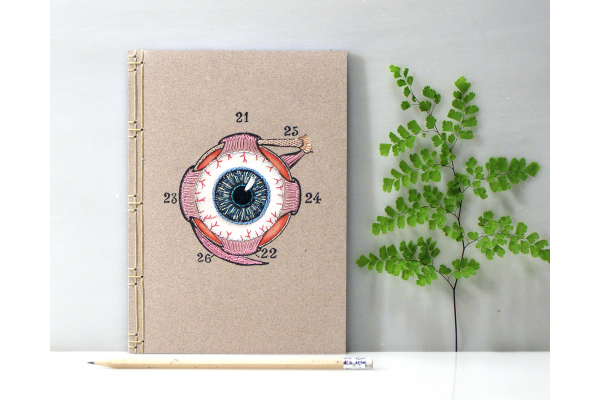Eye Anatomy Journal by Fabulous Cat Papers