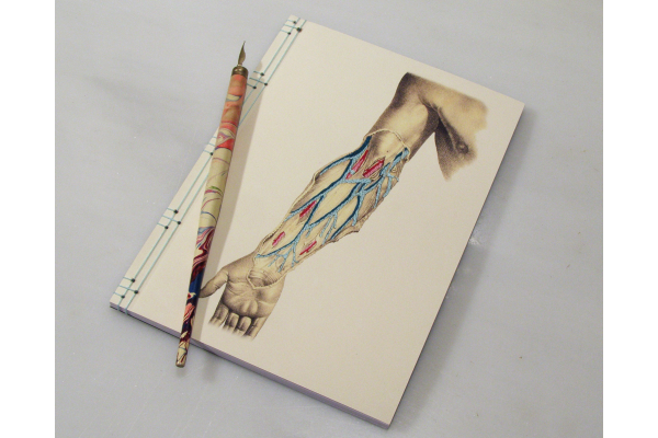 Arm Anatomy Journal by Fabulous Cat Papers