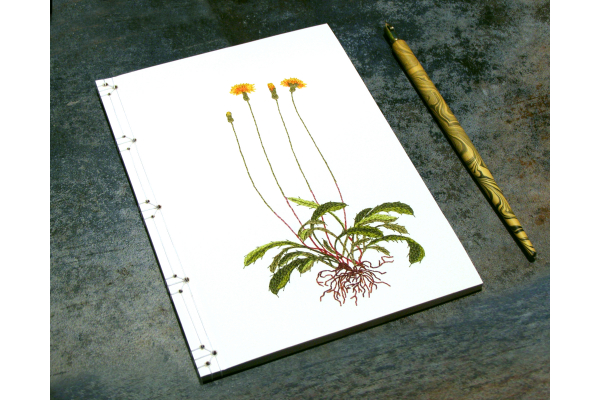 Dandelion Plant. Botanical Journal by Fabulous Cat Papers