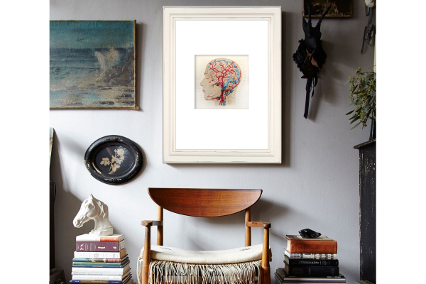 Veins and Arteries of the Head by Fabulous Cat Papers