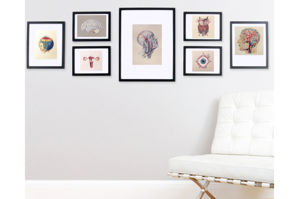 Nerves. Anatomical Paper Embroidery by Fabulous Cat Papers