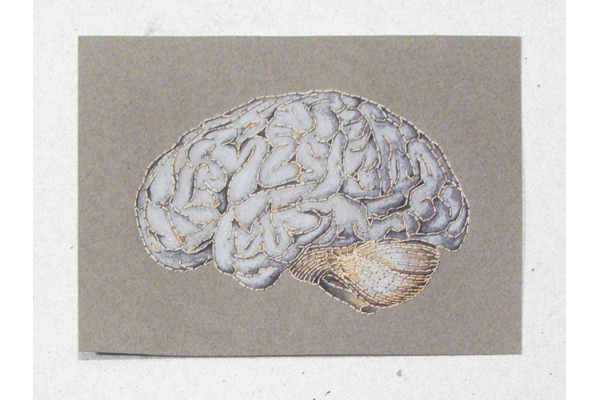 Anatomical Brain. Paper Embroidery by Fabulous Cat Papers
