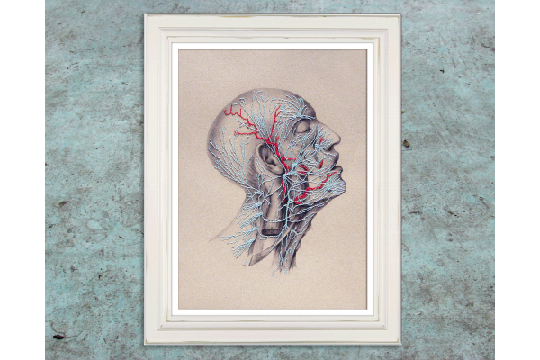 Nerves. Anatomical Paper Embroidery by Fabulous Cat Papers