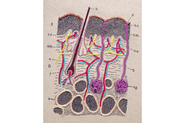 Skin Layers Journal by Fabulous Cat Papers