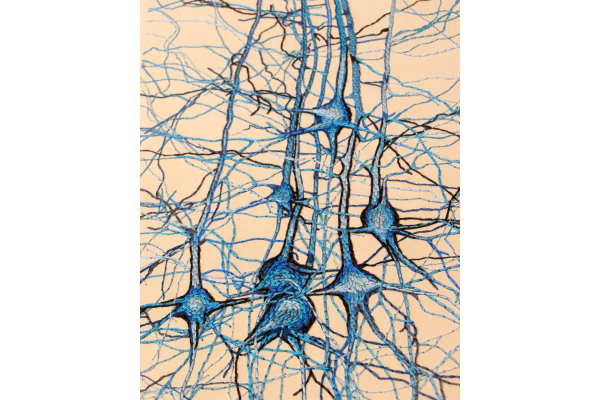 Neurons Journal. Study No1 by Fabulous Cat Papers
