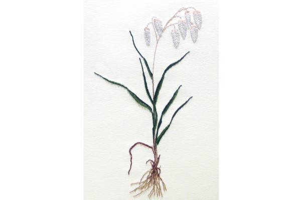 Quaking Grass. Botanical Journal by Fabulous Cat Papers