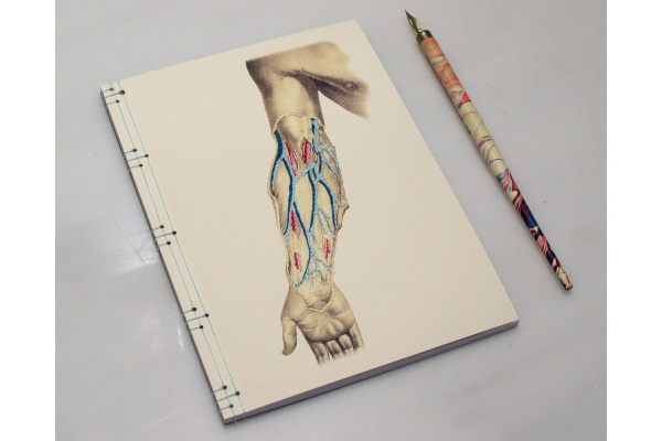 Arm Anatomy Journal by Fabulous Cat Papers