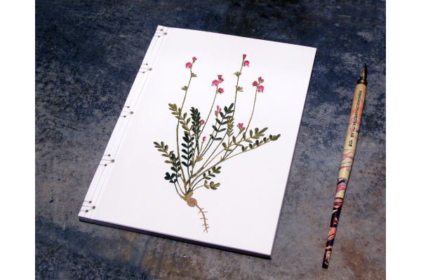 Sainfoin. Botanical Journal by Fabulous Cat Papers