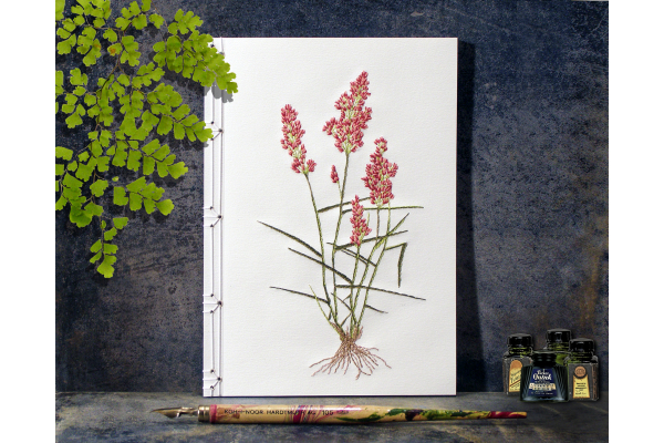 Natal Grass. Botanical Journal by Fabulous Cat Papers