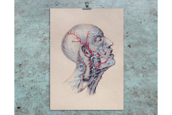 Nerves. Anatomical Paper Embroidery by Fabulous Cat Papers