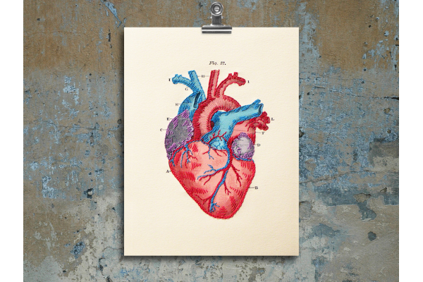 Anatomical Heart. Paper Embroidery by Fabulous Cat Papers