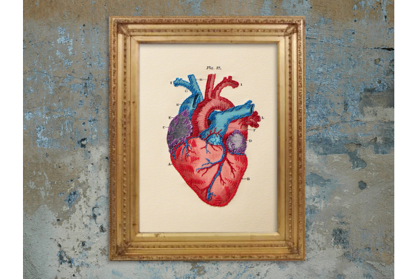 Anatomical Heart. Paper Embroidery by Fabulous Cat Papers