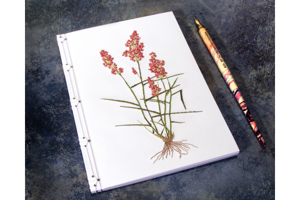 Natal Grass. Botanical Journal by Fabulous Cat Papers