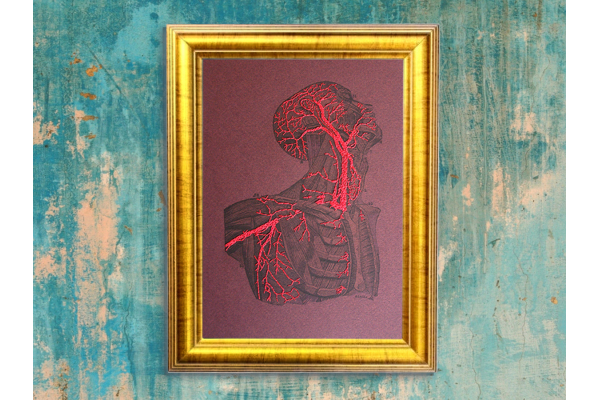 Torso & Head Anatomy. Paper Embroidery by Fabulous Cat Papers