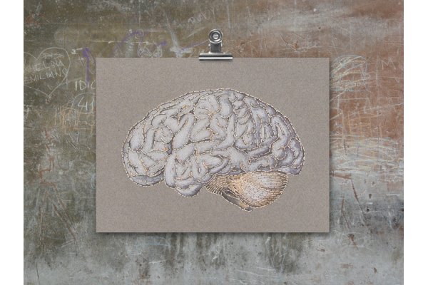 Anatomical Brain. Paper Embroidery by Fabulous Cat Papers