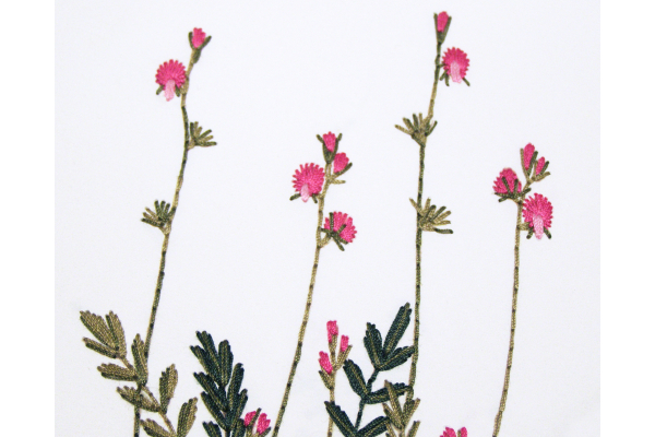 Sainfoin. Botanical Journal by Fabulous Cat Papers