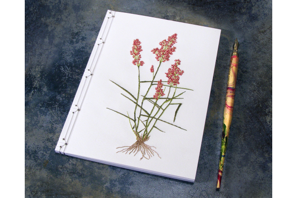 Natal Grass. Botanical Journal by Fabulous Cat Papers