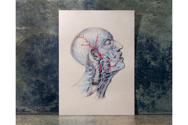 Nerves. Anatomical Paper Embroidery by Fabulous Cat Papers