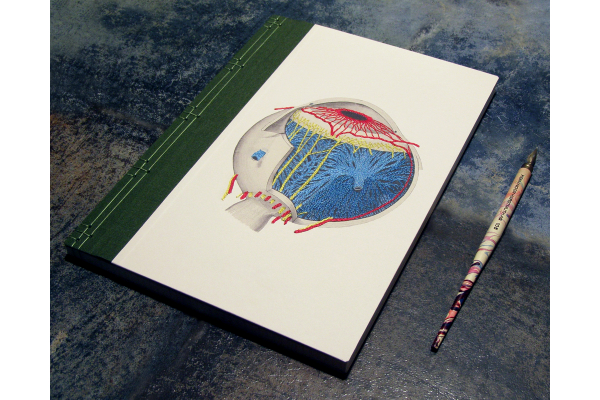 Eye Anatomy Book by Fabulous Cat Papers