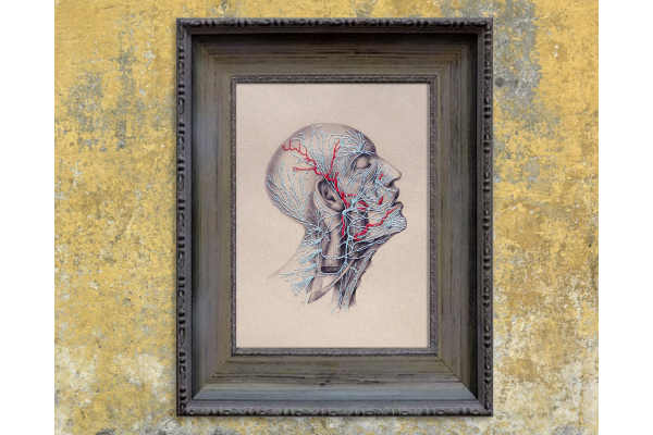 Nerves. Anatomical Paper Embroidery by Fabulous Cat Papers