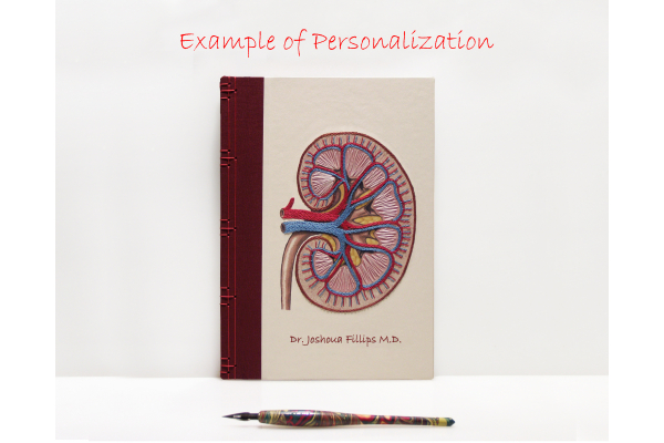 Kidney Anatomy Book by Fabulous Cat Papers
