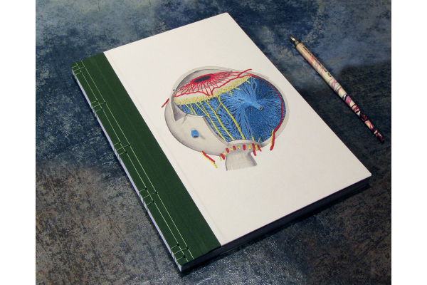 Eye Anatomy Book by Fabulous Cat Papers