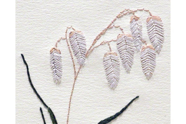 Quaking Grass. Botanical Journal by Fabulous Cat Papers