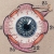 Eye Anatomy. Paper Embroidery. Close Up Eye Anatomy. Paper Embroidery by Fabulous Cat Papers