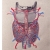 Thyroid Gland Journal. Close Up Thyroid Gland Journal by Fabulous Cat Papers