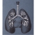 Lungs Anatomy. Paper Embroidery. Close Up Lungs Anatomy. Paper Embroidery by Fabulous Cat Papers