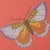Butterfly Journal by Fabulous Cat Papers