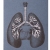 Lungs Anatomy. Close up Lungs Anatomy Journal by Fabulous Cat Papers