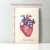 Heart Anatomy Journal by Fabulous Cat Papers